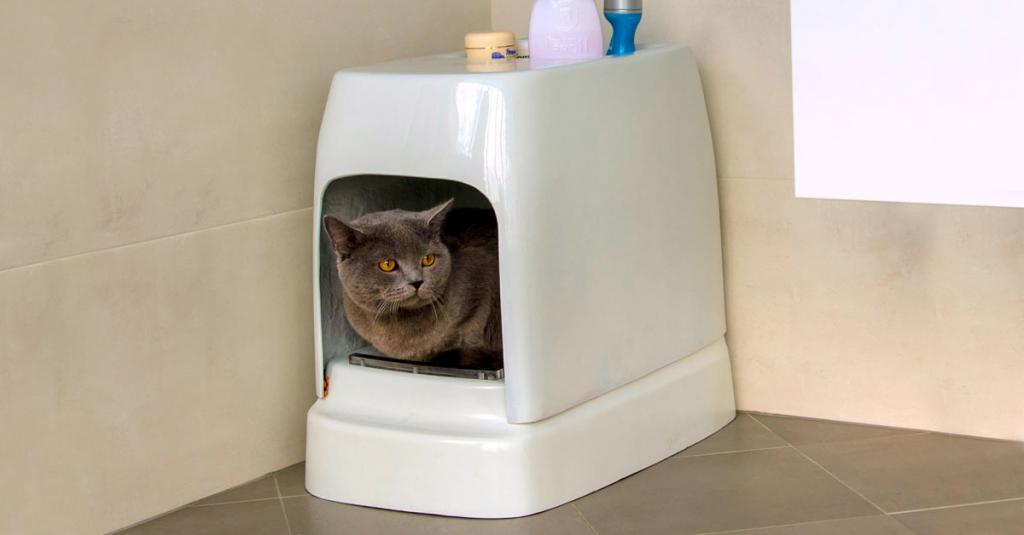 Обзор видов и брендов туалетов для кошек — без запаха, автомат с сеткой, вертикальный белый бокс и другие