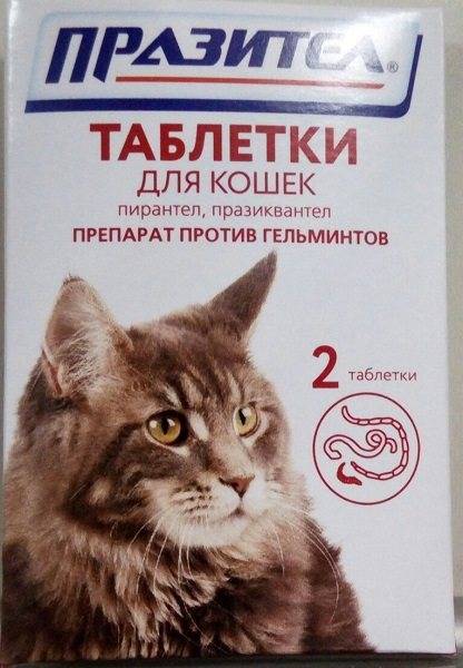 Празител для котят суспензия. Празител для кошек таблетки. Празител для кошек суспензия дозировка. Празител для кошек наклейки. Купить празител для кошек