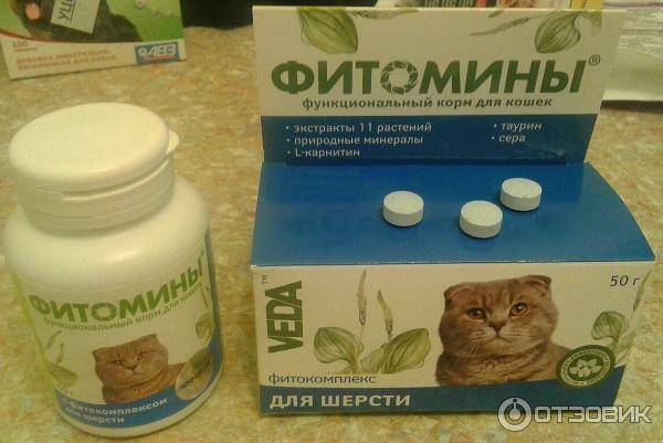 Витамины для кошек от выпадения шерсти: отзывы