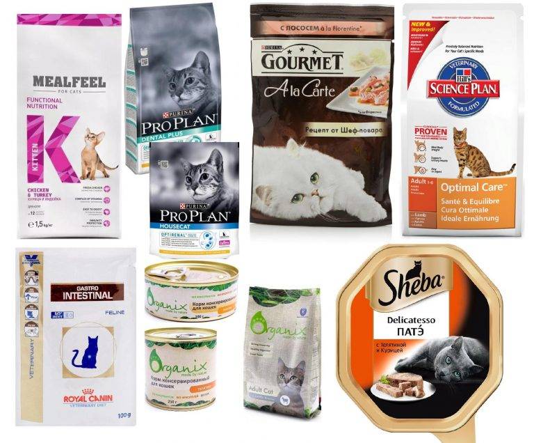 Гипоаллергенные корма для кошек | отзывы, какие лучшие, список