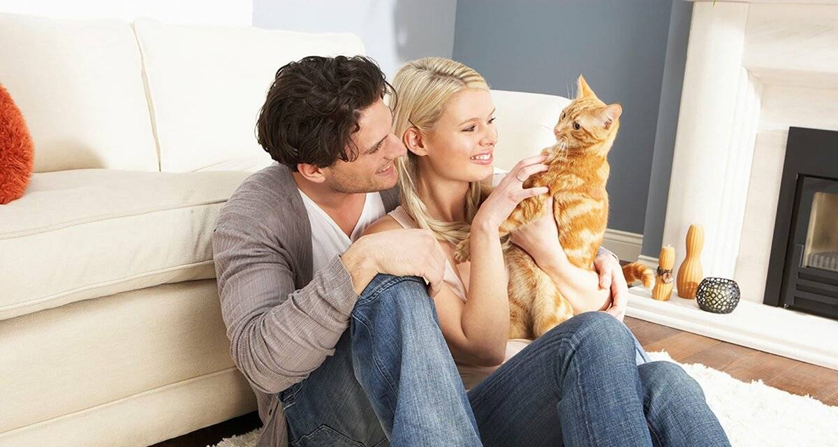 Как понять что кошка любит хозяина. 6 доказывающих это причин