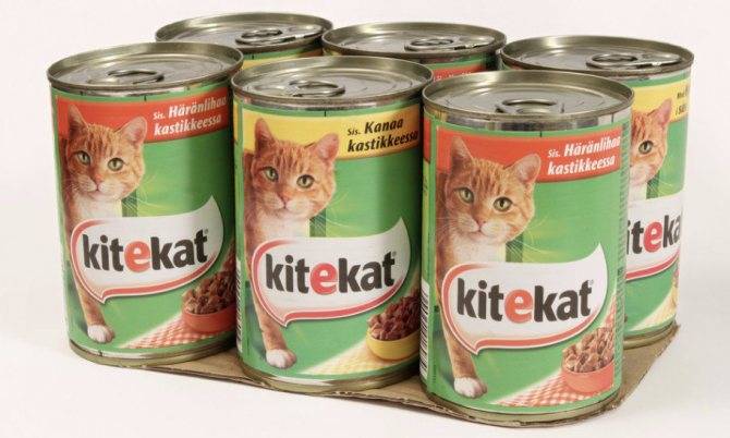 Корм для кошек "китикет" сухой и влажный в пакетиках: состав, плюсы и минусы продукта