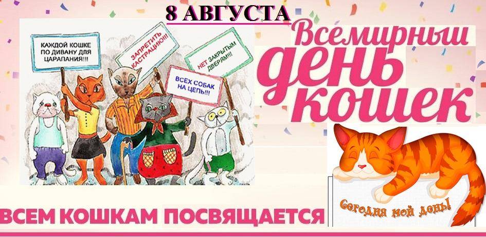 Всемирный день кошек: когда и как празднуют, интересные факты