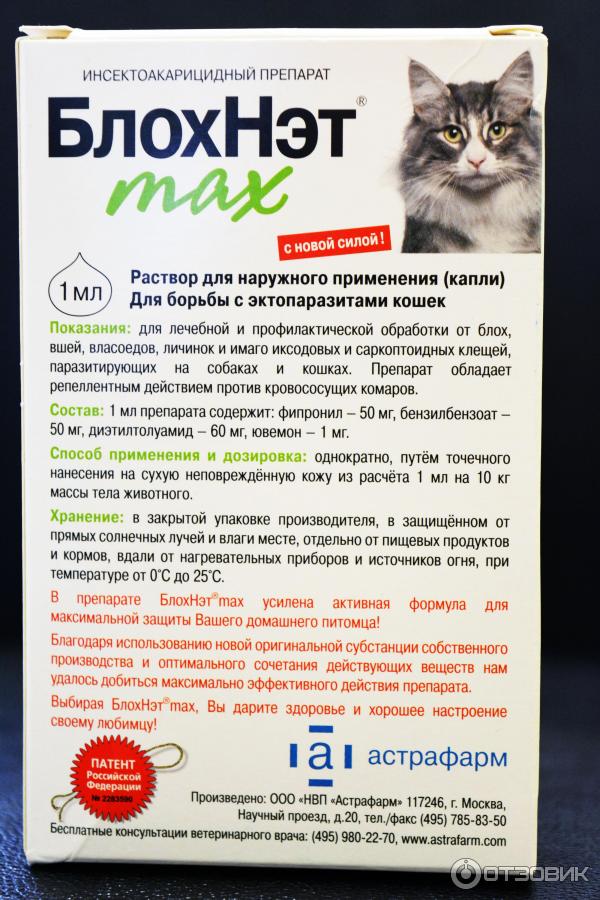 Куда Капать От Блох Кошке Фото