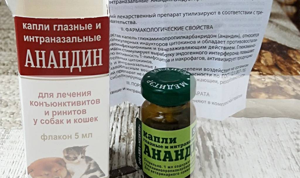 Анандин для кошек: инструкция по применению капель в нос, ушных и глазных, раствора для уколов, мази