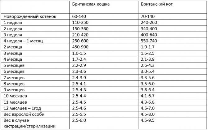 Таблица веса шотландского котенка по месяцам - oozoo.ru