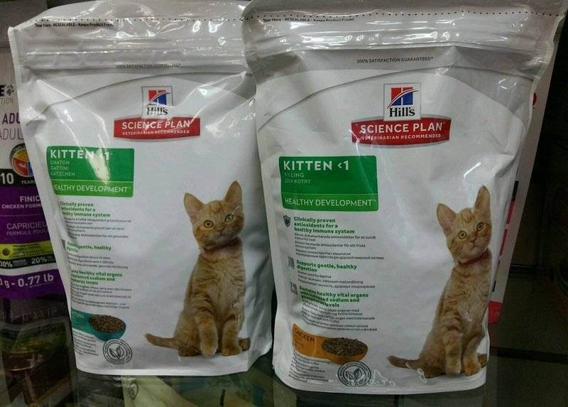 Лучший корм для кошек и котов по мнению ветеринаров