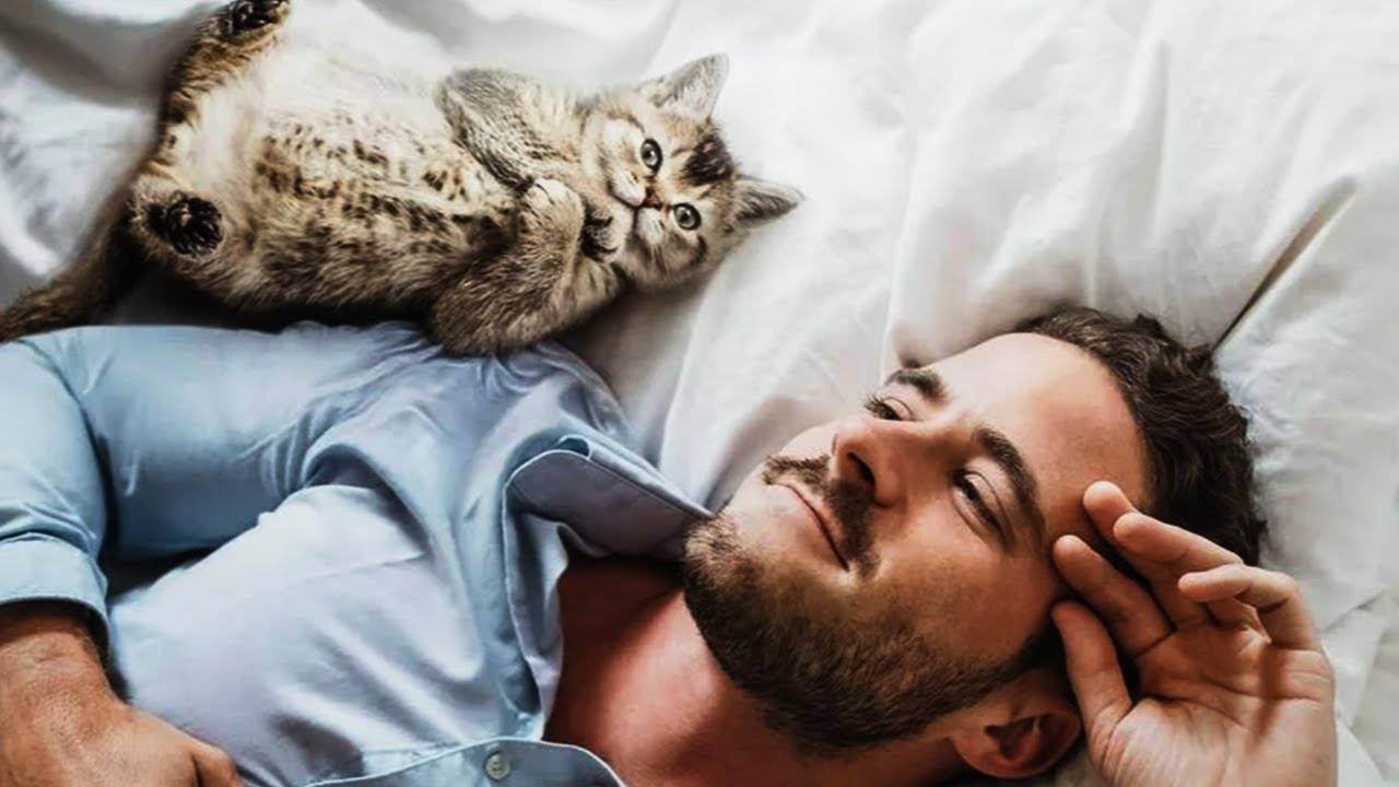Почему коты любят спать в ногах хозяина: приметы и физиология, что это значит?
