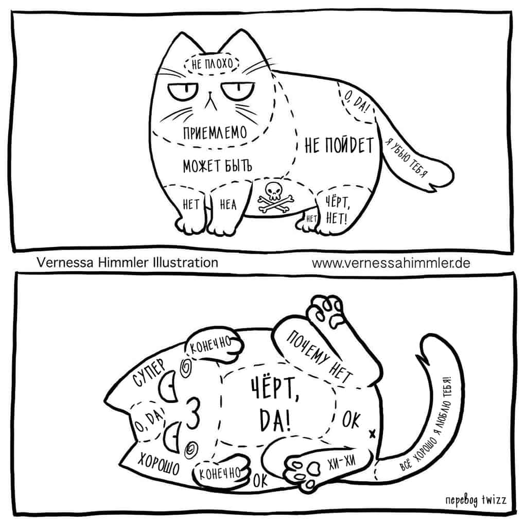 Как правильно гладить кошку