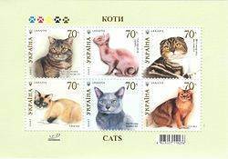 Читать книгу британские короткошерстные кошки олеси пуховой : онлайн чтение - страница 2