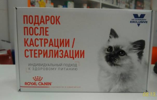 Как кормить кастрированного кота — советы по выбору рациона питания для стерилизованного кота в домашних условиях (90 фото)