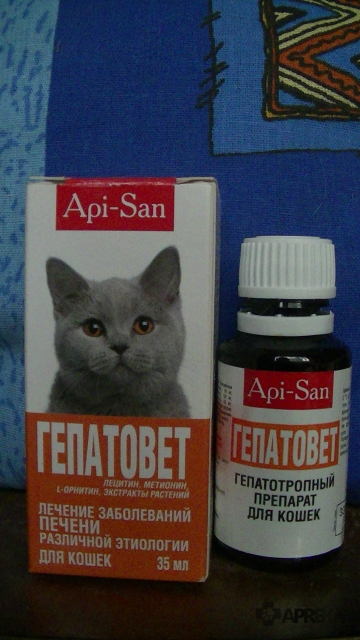 Острый и хронический синусит (гайморит, фронтит, этмоидит)