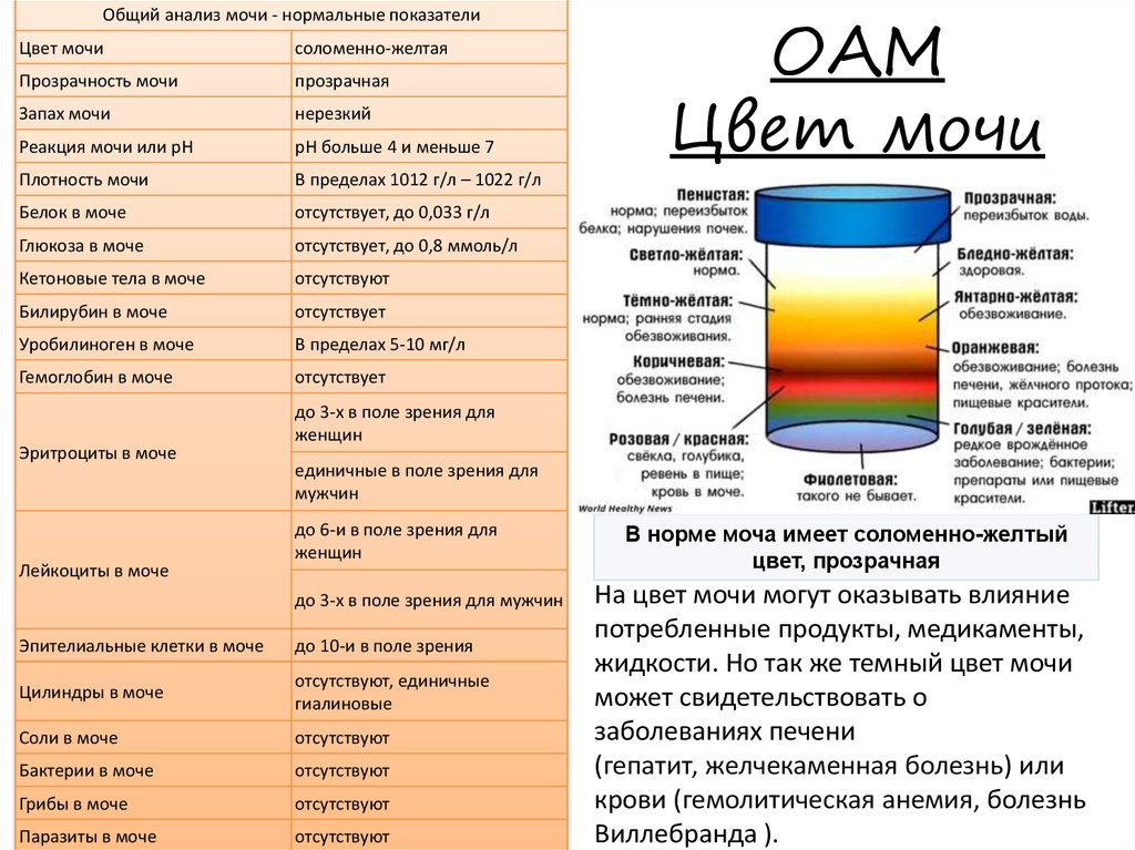 Выделения из уретры причины появления, выделения из мочеиспускательного канала у мужчин и женщин.