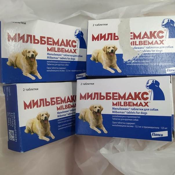 Надо ли глистогонить собаку. Глистогонные препараты для собак Мильбемакс. Мильбемакс 4. Мильбемакс логотип. Мильбемакс на 10 кг.