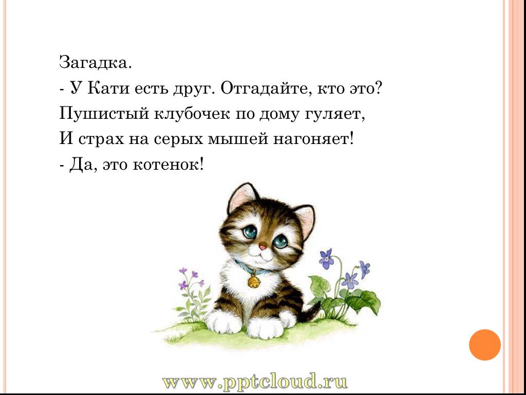 Загадки про кошку