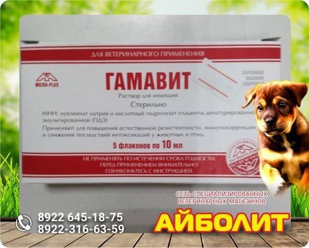Гамавит для кошек - как колоть и дозировка, состав витаминов, условия хранения и отзывы