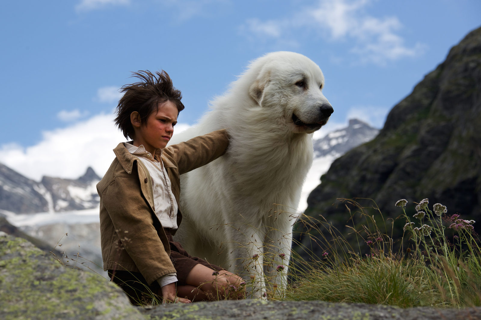 Легендарный французский фильм "белль и себастьян" - с 5 апреля во всех кинотеатрах россии! — обсуждение в группе "пиренейские горные собаки" | птичка.ру