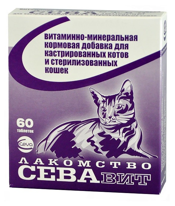Витамины для кошек: список лучших витаминов для кожи, шерсти и поддержания иммунитета