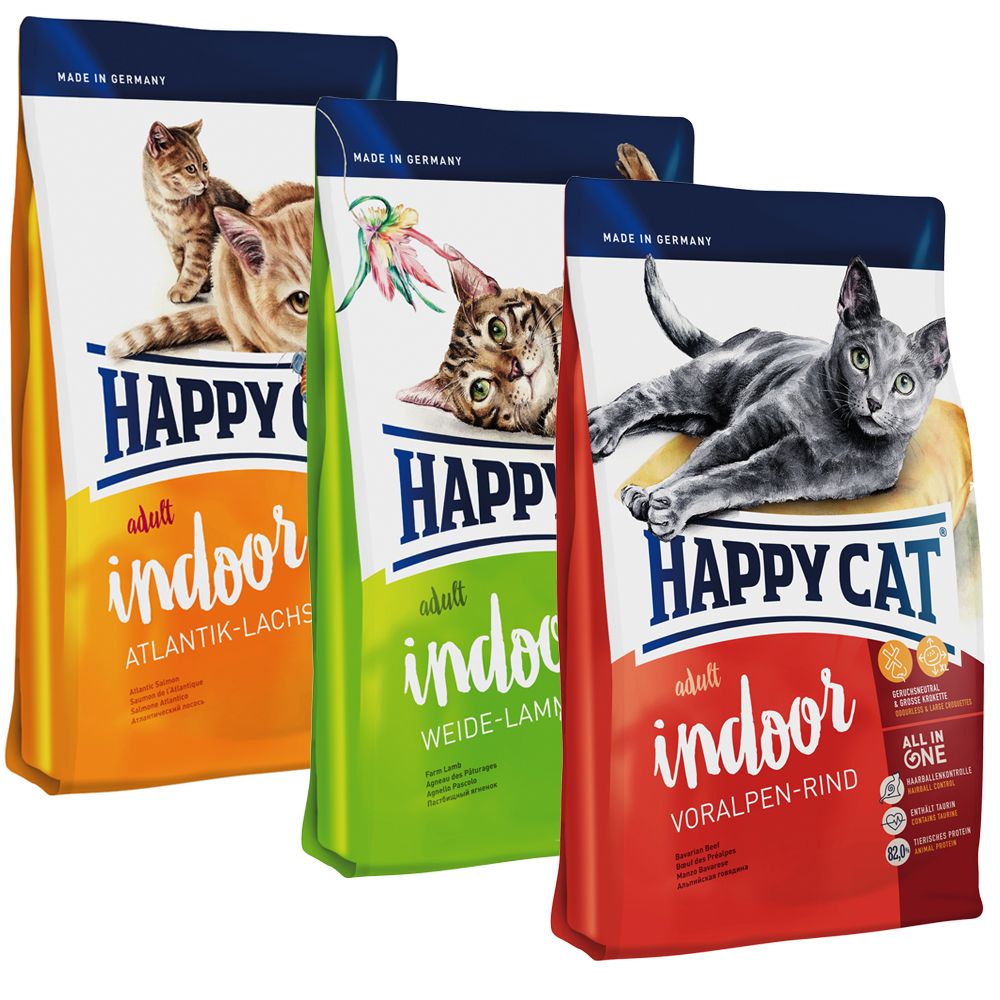 Happy cat
