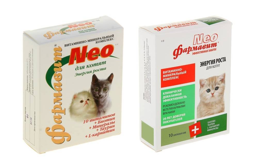 Использование витаминов и витаминных комплексов для кошек от выпадения шерсти