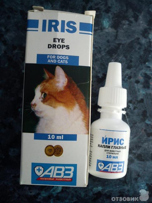 Глазные капли для кошек - список лекарств