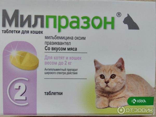 Антигельминтики для кошки