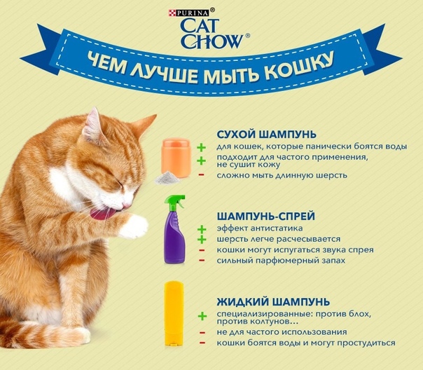 Жидкий корм для кошек