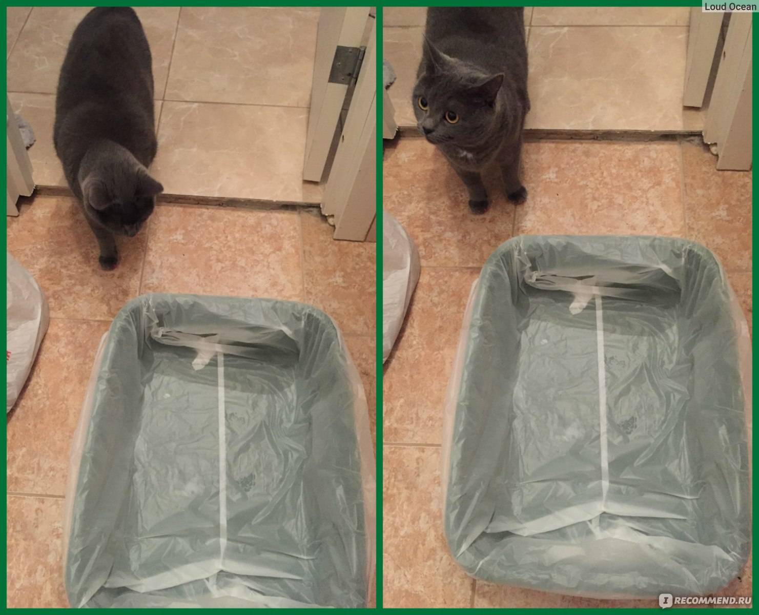 Как почистить кошачий туалет - wikihow