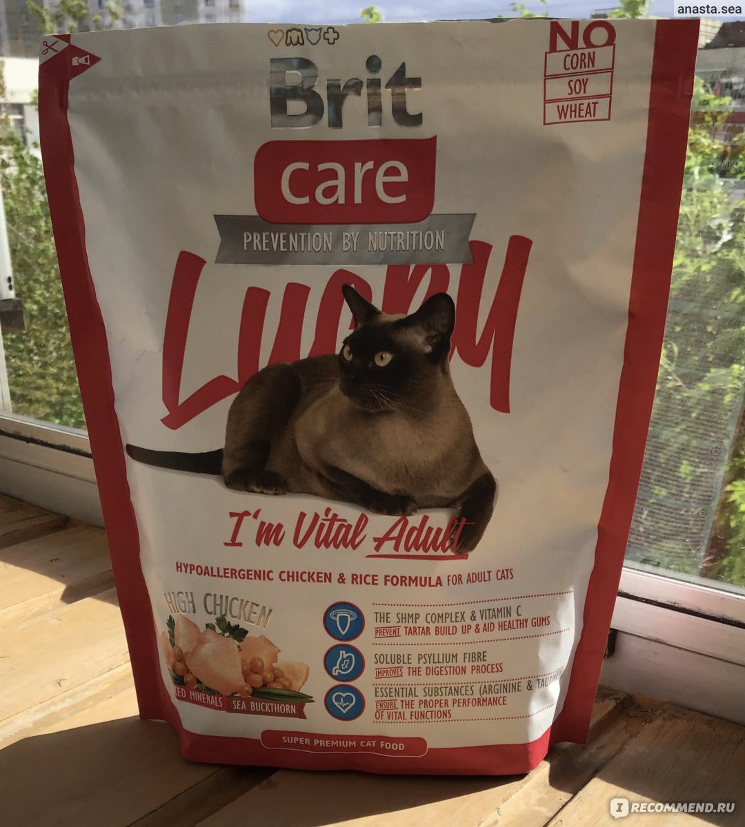 ???? полезные сухие корма для кошек на 2022 год