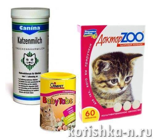 Витамины для кошек: почему нужны, какие давать
витамины для кошек: почему нужны, какие давать