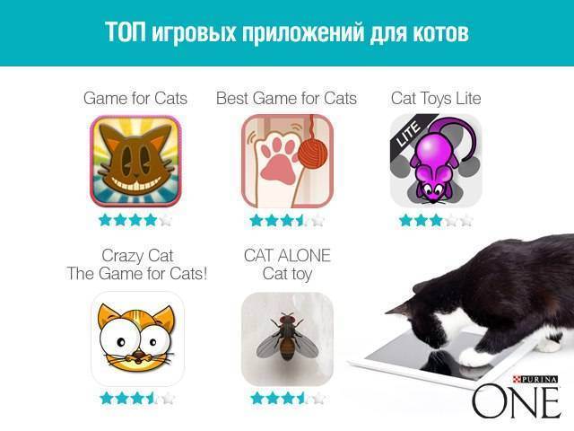 Большой обзор: приложения для котиков