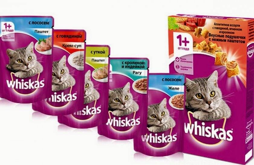 Корм для кошек вискас (whiskas): обзор, виды, состав, отзывы