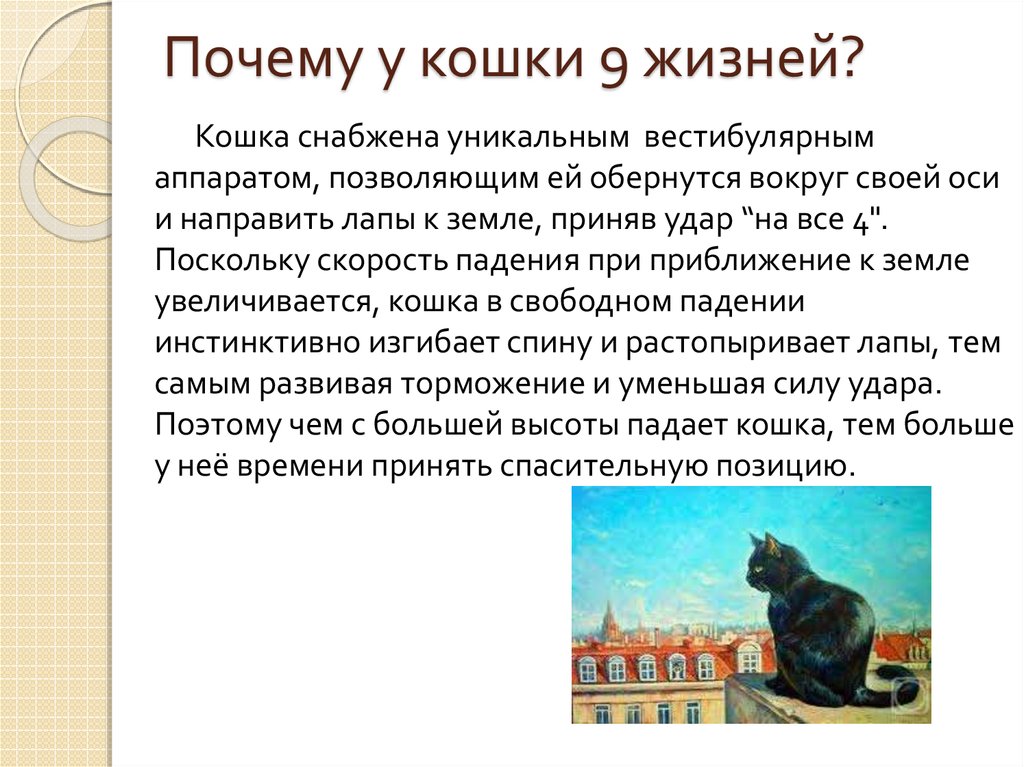 Правда ли, что у кошек 9 жизней? :: инфониак