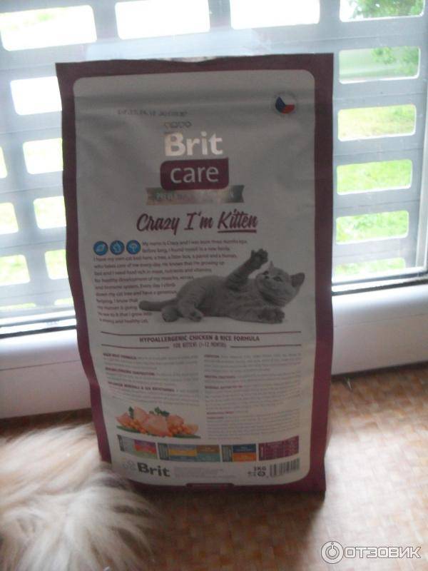 Сухой корм для кошек от чешского производителя —  brit care: обзор, мнение ветеринаров, отзывы