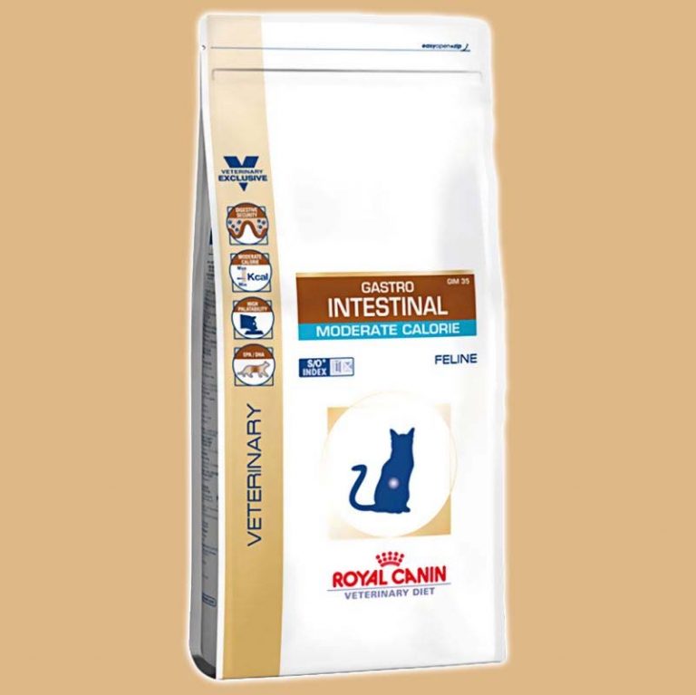 Обзор на корм для собак royal canin (роял канин)