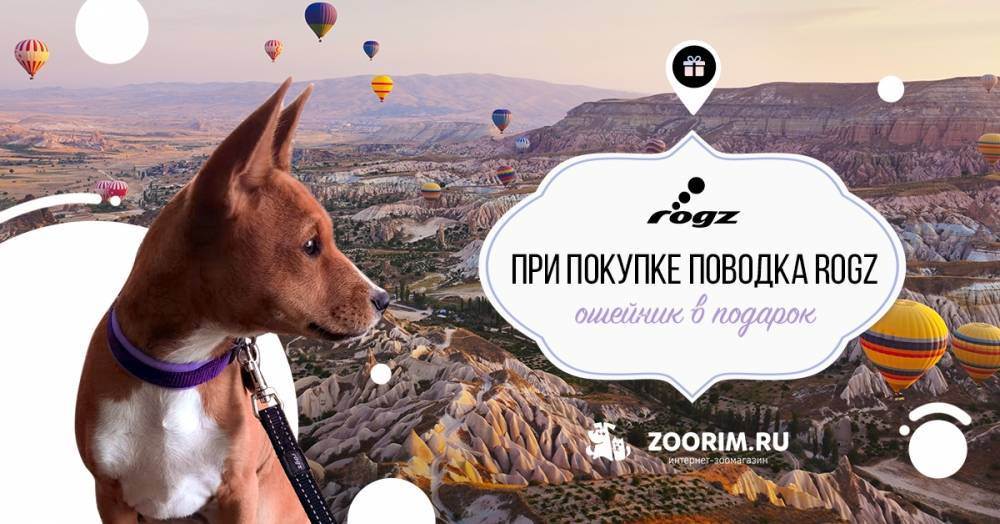 Топ-8 интернет-магазинов зоотоваров — рейтинг зоомагазинов 2020