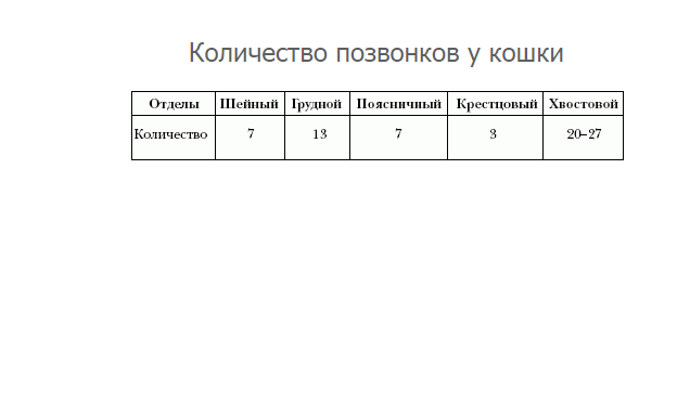 Симптомы и лечение опоясывающего герпеса у взрослых