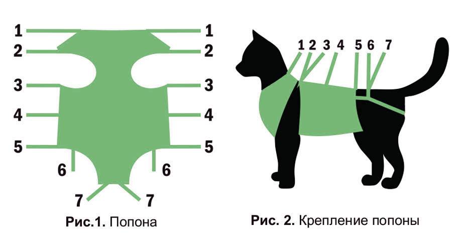 Попона для кошки после стерилизации своими руками: как сшить и правильно надевать бандаж?