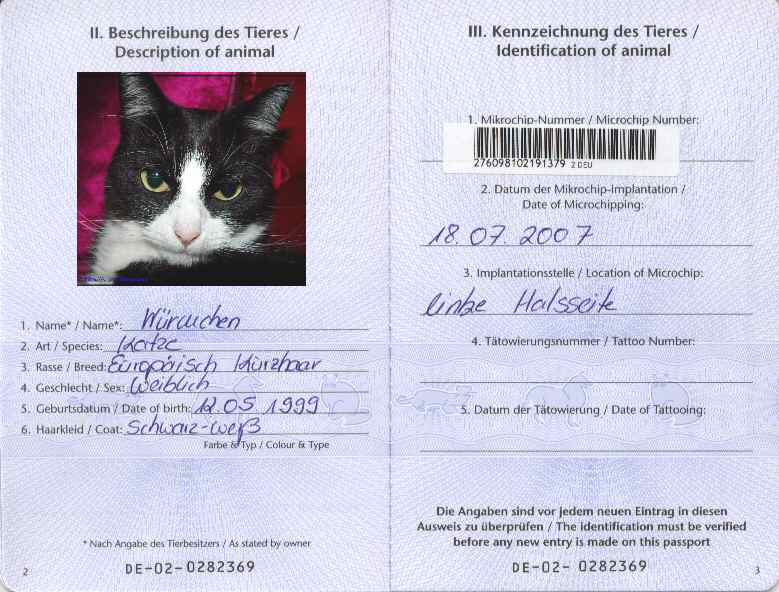 Ветеринарный паспорт для кошки: как получить и заполнить правильно