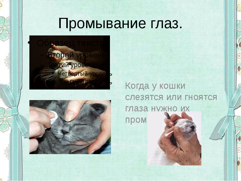 Синусит – симптомы, лечение, профилактика. виды синусита: гайморит, фронтит, этмоидит.