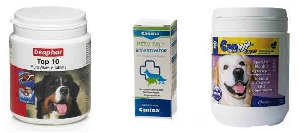 Витамины для собак и щенков: для шерсти и суставов
витамины для собак и щенков: для шерсти и суставов