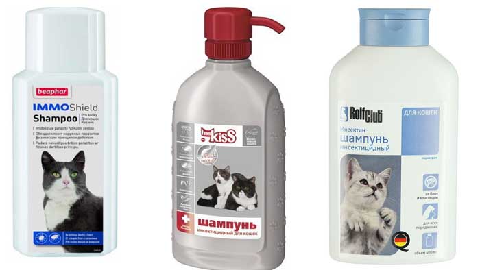 Как часто можно мыть котенка шампунем от блох, чтобы избавиться от паразитов и не навредить здоровью малыша