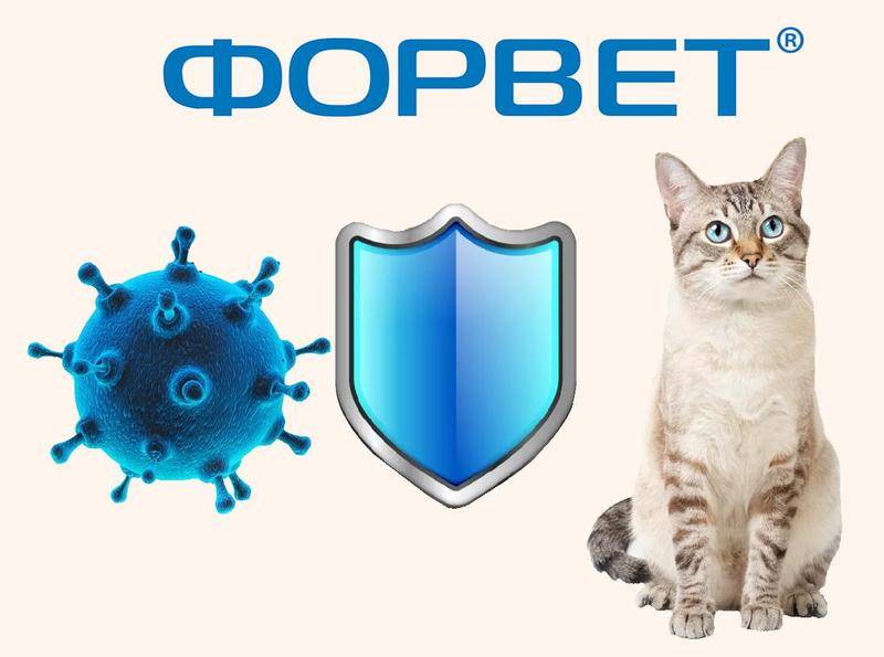 ᐉ препарат фоспренил для лечения кошек и собак, инструкция по применению - zoovet24.ru