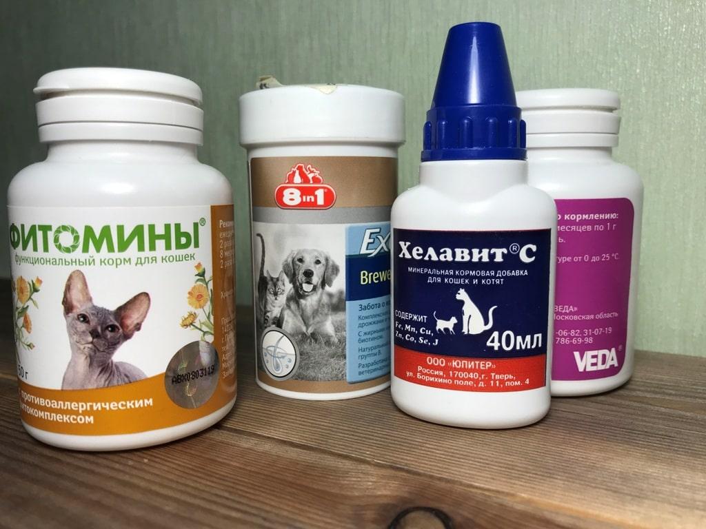 Выбираем витамины для собак, кошек, щенков и котят