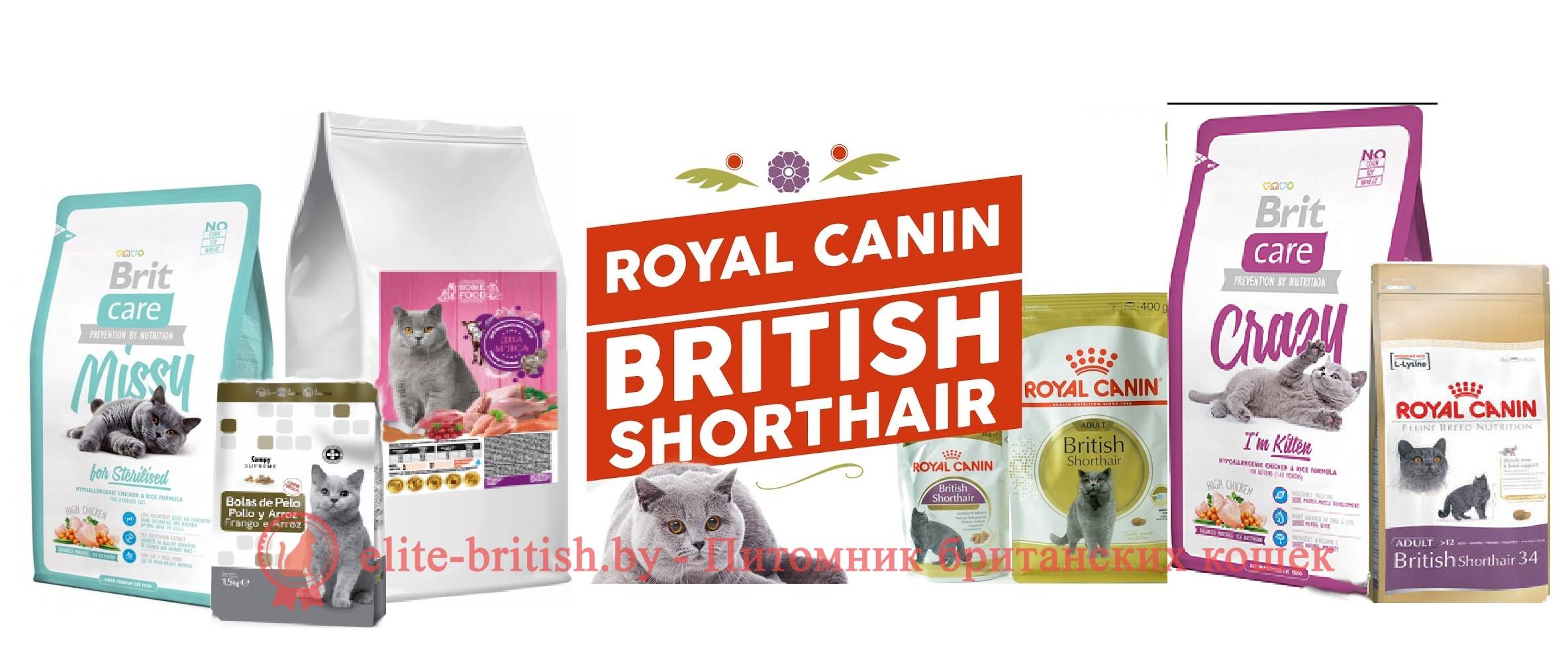 Каким кормом кормить британскую кошку