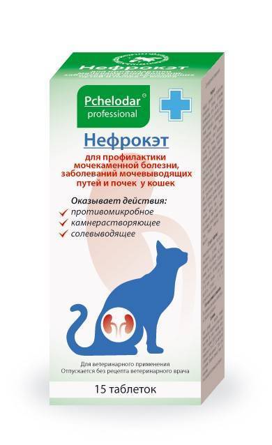 Фип (вирусный перитонит) у кошек: симптомы и лечение