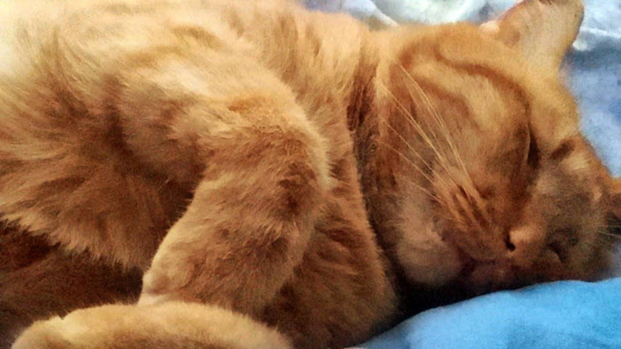 Синдром беспокойных ног