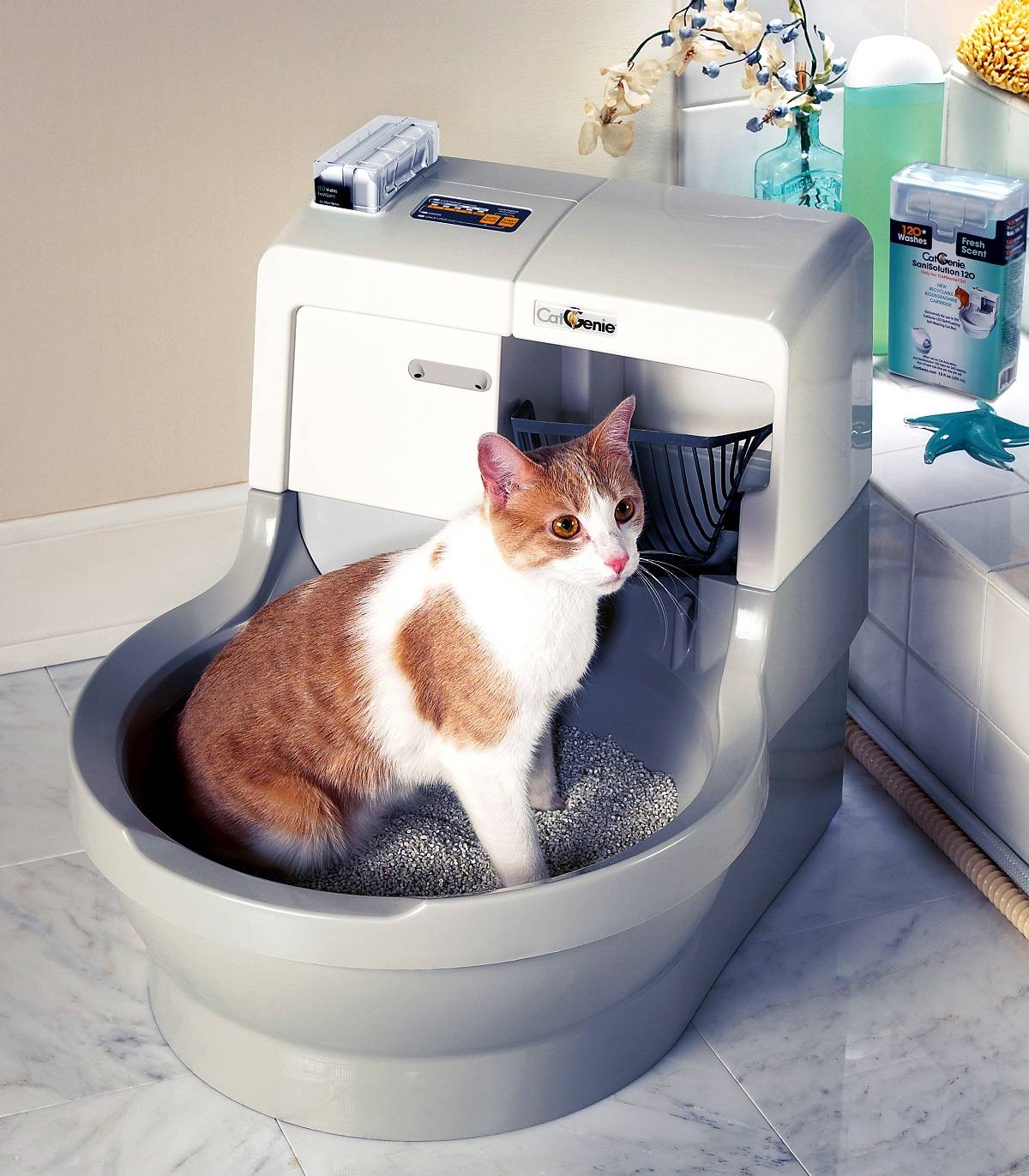 Обзор автоматических кошачьих туалетов: kopfgescheit, catgenie 120 и других
