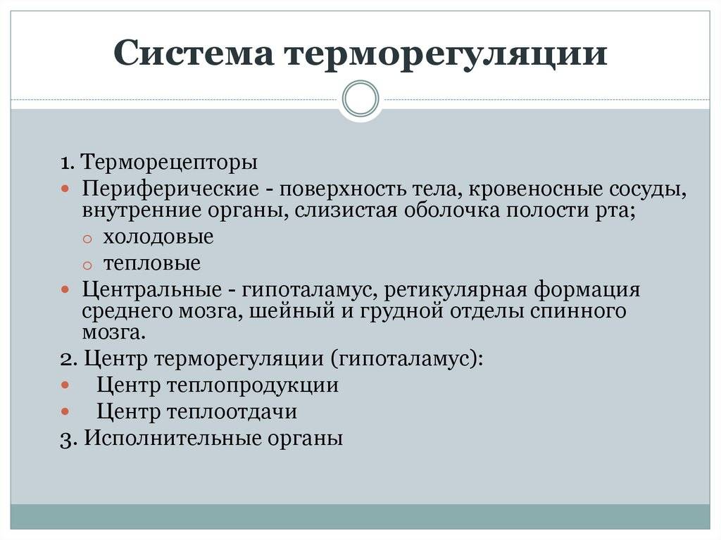 Как спасти кота от жары и теплового удара - oozoo.ru