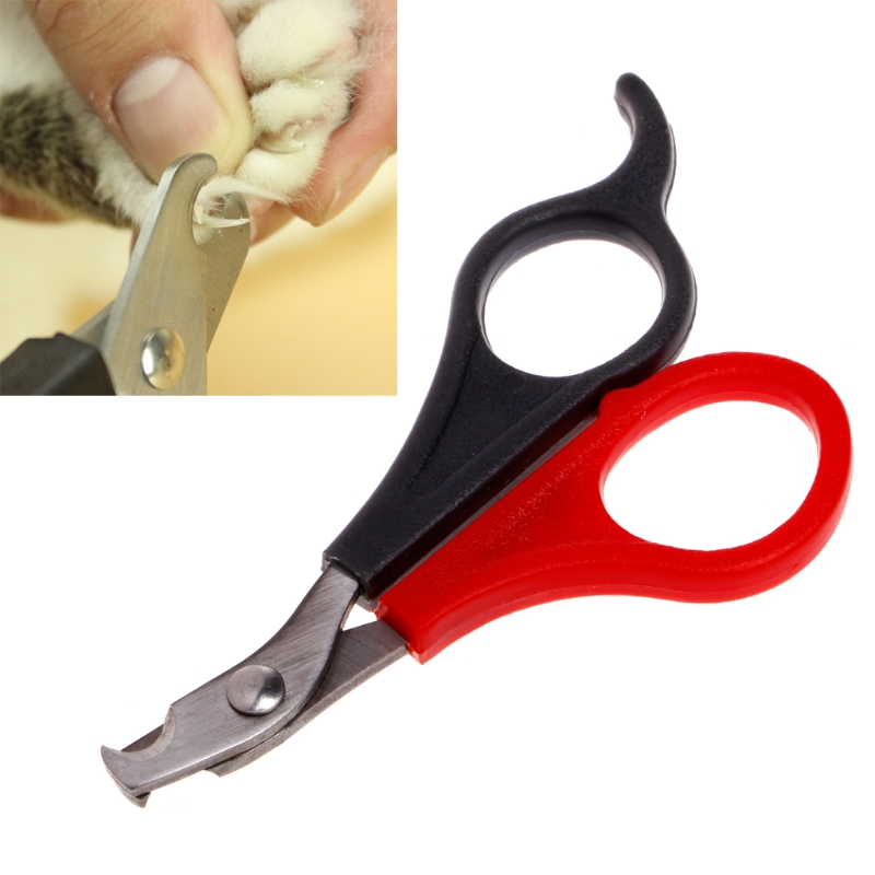 Ножницы для стрижки когтей у кошек и котов